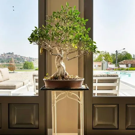 Dimora San Carlo Apartment